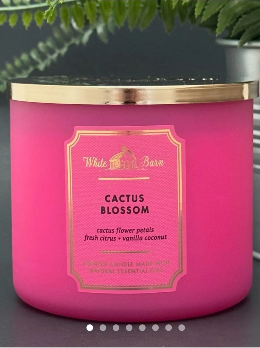White Barn Cactus Blossom Candle - Hot Pink with Gold Lid
